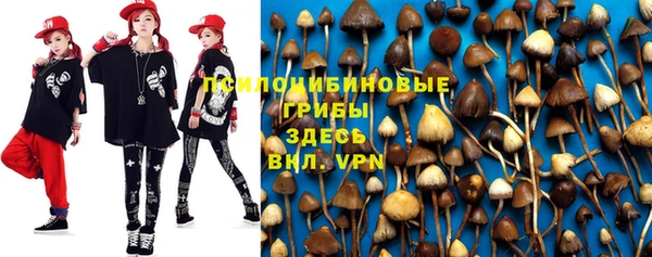spice Алексеевка