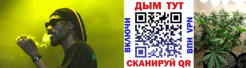 hydra   Среднеколымск  Канабис сатива 